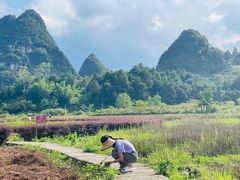 -靖西鹅泉风景区