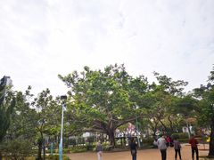 -九龙寨城公园