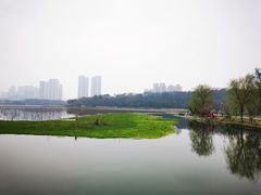-月湖风景区