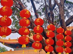 -广东圆玄道观
