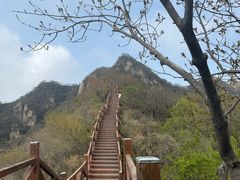 -大岭沟猕猴桃谷风景区