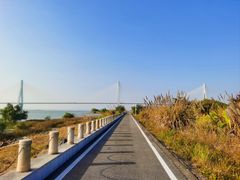 -芒洲湿地公园