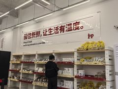 -来噻布布 Lets BUBU
