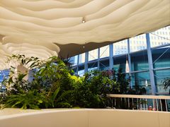 -大树餐厅(红旗街万达店)