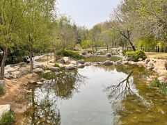 -郑州植物园