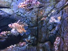 -成都浩海立方海洋公园