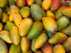 -金鸡岭农贸市场