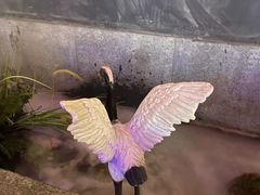 -韵秋荷(宝山龙湖天街店)