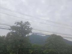 -都江堰石锅鱼