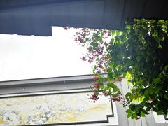 -优之名鹅城