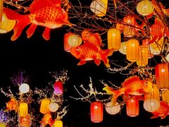 -龙湖星悦荟(颐和店)