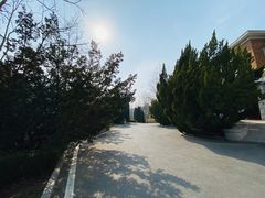 -棒棰岛宾馆景区