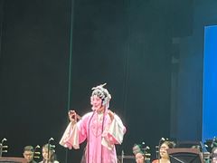 -公共文化中心剧院