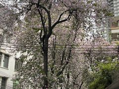 -东山宾馆(广州东山口地铁站店)