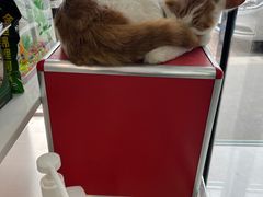 -中农大我爱我爱动物医院·核磁CT·猫病·24小时夜诊中心(石佛营店)