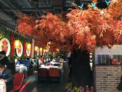 -雲蜀龙阁·金牌水煮鱼(方庄店)