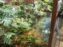 -聚缘堂·海鲜私房菜(松岭路店)
