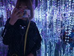 -贝壳王国博物馆