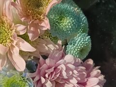 -循礼门鲜花花市(武汉循礼门店)