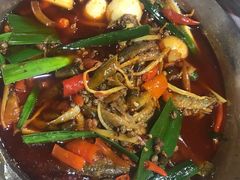 独火泥鳅-弓虽昌焖烧鸡(大竹林店)