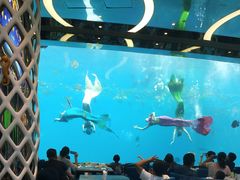 -瑞德姆美人鱼海底演艺主题餐厅(亚龙湾店)