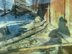 -新疆天山野生动物园