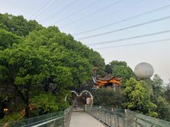 -巴倒烫陆派火锅山庄(南山总店)
