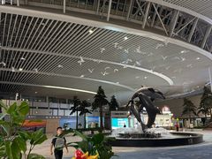 -青岛胶东国际机场