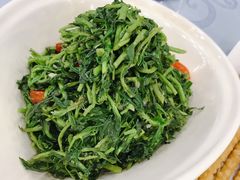 养生枸杞苗-老毛手抓·盐池滩羊非遗手抓(宁夏总店)