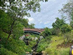 -云溪植物园