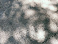 -常州古运河南大街文化旅游区-人民公园