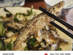 紫苏山坑鱼仔-开心农家菜