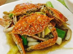 -顺峰渔港中国人的餐厅