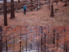 -白水寺森林公园