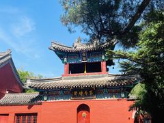 -洛阳白马寺