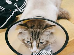 -白兔子密室(长寿路店)