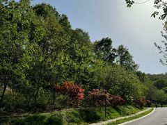 -南京市江宁方山
