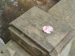 -孝子祠公园