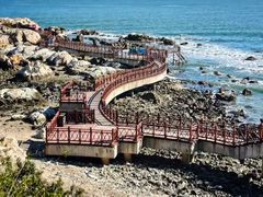 -养马岛旅游度假区