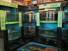 -千岛湖小鱼儿·淳安匠心农家菜