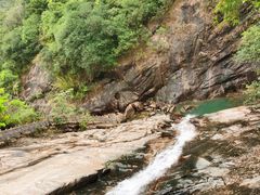 -广州白江湖森林公园