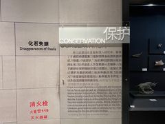 -北京周口店北京人遗址博物馆
