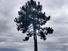 -丽江泸沽湖景区