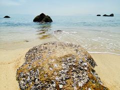 -玫瑰海岸文化旅游度假区