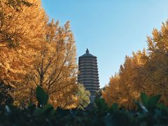 -玲珑塔公园
