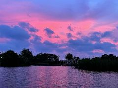 -芒洲湿地公园