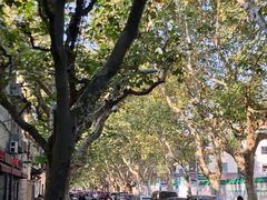 -LA MATCHA抹茶吧(进贤路店)