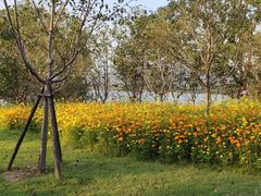 -福建鲤鱼洲酒店