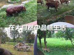 -上海野生动物园