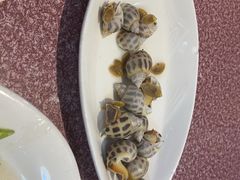 -旺来排档
